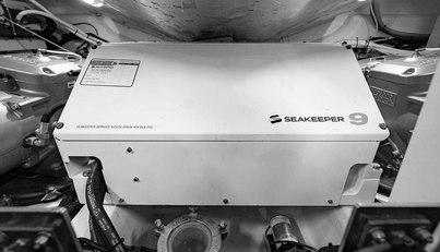 Bald Eagle For Sale image85