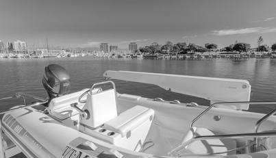 MALOU For Sale image39