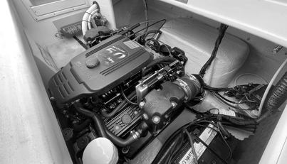 LIQUID ASSET For Sale image18