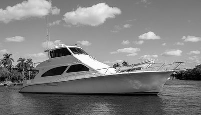 noname For Sale image4