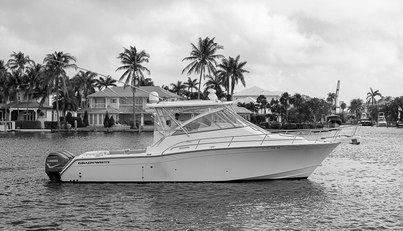 noname For Sale image1