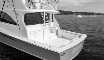 Gorilla Bowt For Sale image24