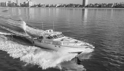 MISS MICHELLE For Sale image14