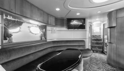 PARVINA For Sale image14