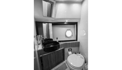 Rumble Bee For Sale image13