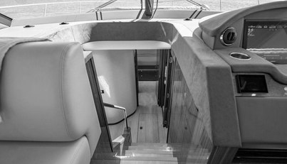 Bald Eagle For Sale image51