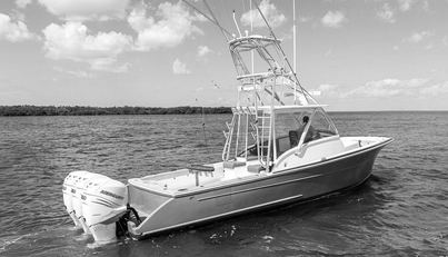 noname For Sale image2