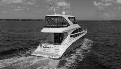 Gail’s Storm IV For Sale image100
