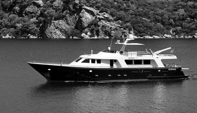 BLUE LADY For Sale image1
