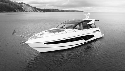 STINGRAY For Sale image7