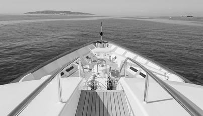 HERCULES For Sale image7