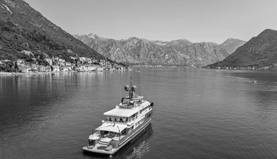 ZULU For Sale image47