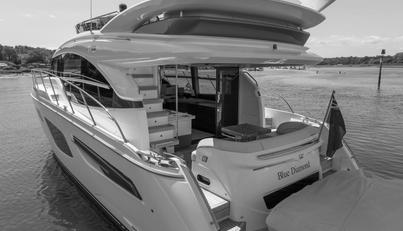 Blue Diamond For Sale image13