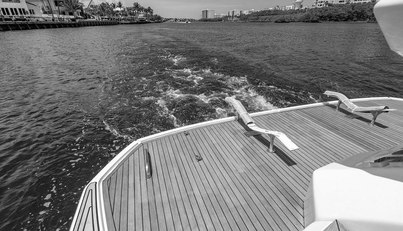 Endurance For Sale image13