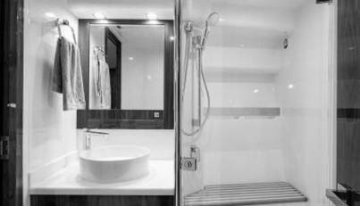 Greyhound For Sale image51