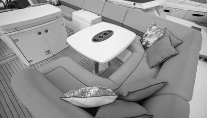 Enzo For Sale image100