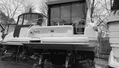 Dignity For Sale image10