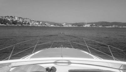 noname For Sale image18