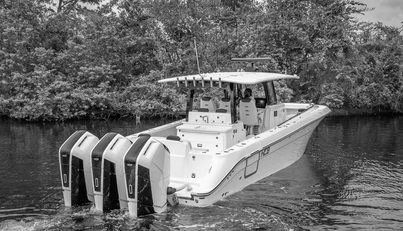 noname For Sale image7