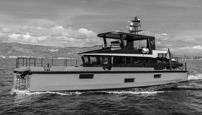 VANGUARD For Sale image6