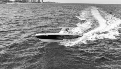 noname For Sale image12