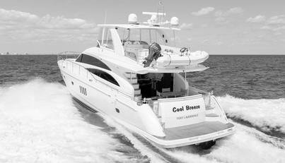 Cool Breeze For Sale image4