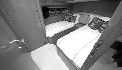 Southern Lady For Sale image58