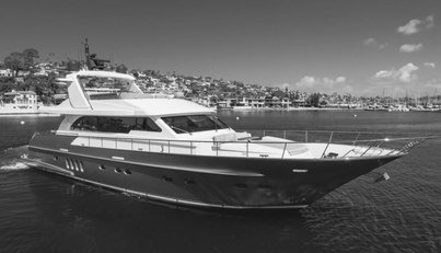 GYRFALCON For Sale image15