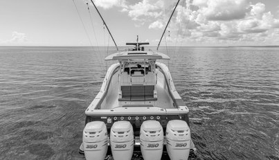 noname For Sale image14