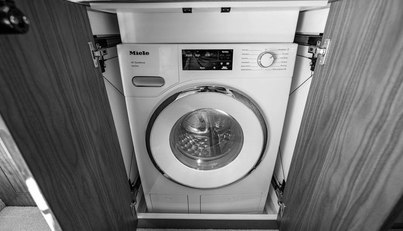 Bald Eagle For Sale image56