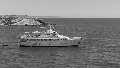 DAYLAMI For Sale image1