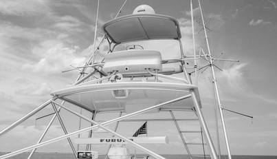 noname For Sale image58