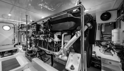 CARA MIA For Sale image46