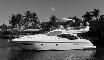 noname For Sale image4