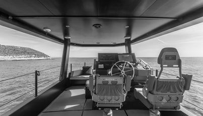 VANGUARD For Sale image9