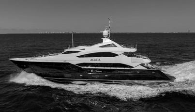 ACACIA For Sale image60