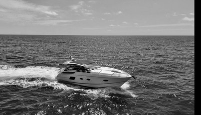 noname For Sale image10