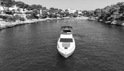 noname For Sale image31
