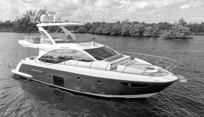 OUR TRADE For Sale image2