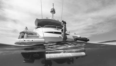 P53 For Sale image6
