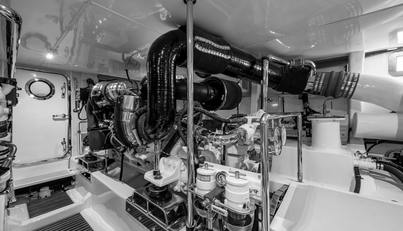 CARA MIA For Sale image50