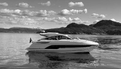 In Stock For Sale image4