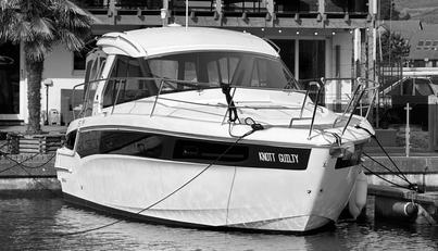 Knot Guilty For Sale image17