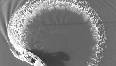 HAYLU For Sale image10