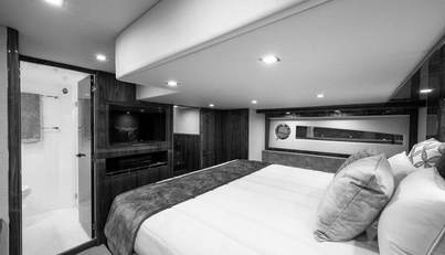 Greyhound For Sale image64