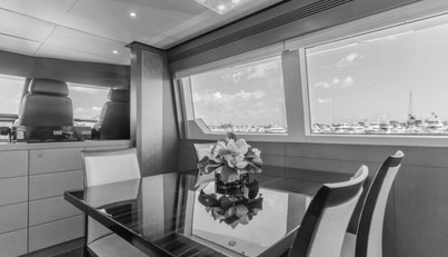 GYRFALCON For Sale image33