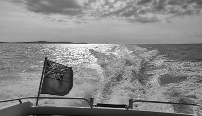 ELIE For Sale image3