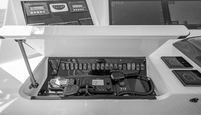 WILL RISE For Sale image22