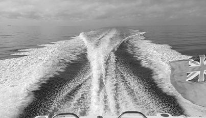 noname For Sale image16