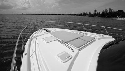 noname For Sale image9